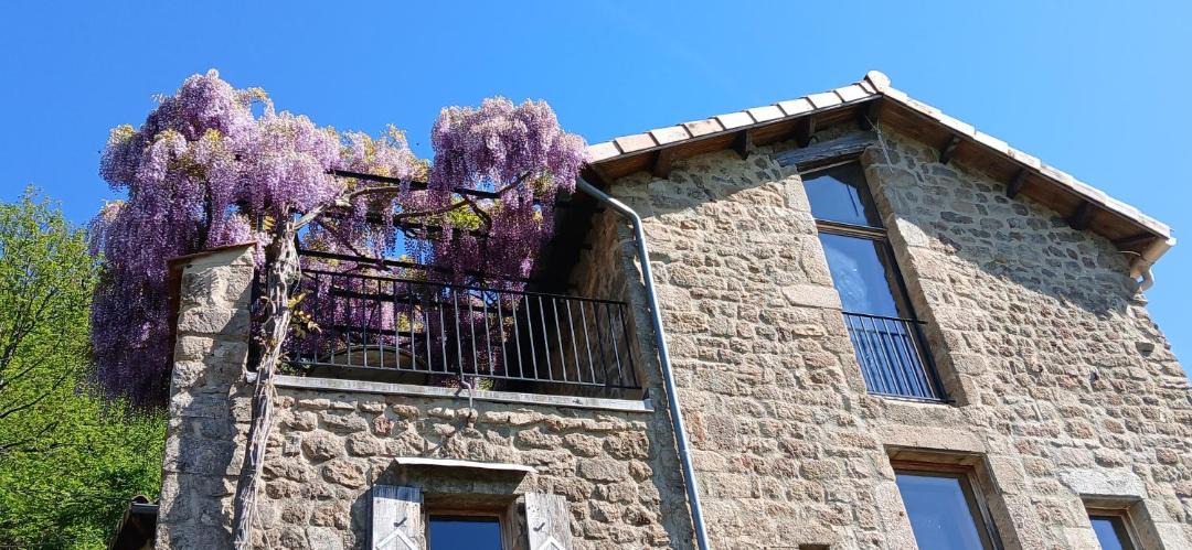 Photo of Others in Gluiras