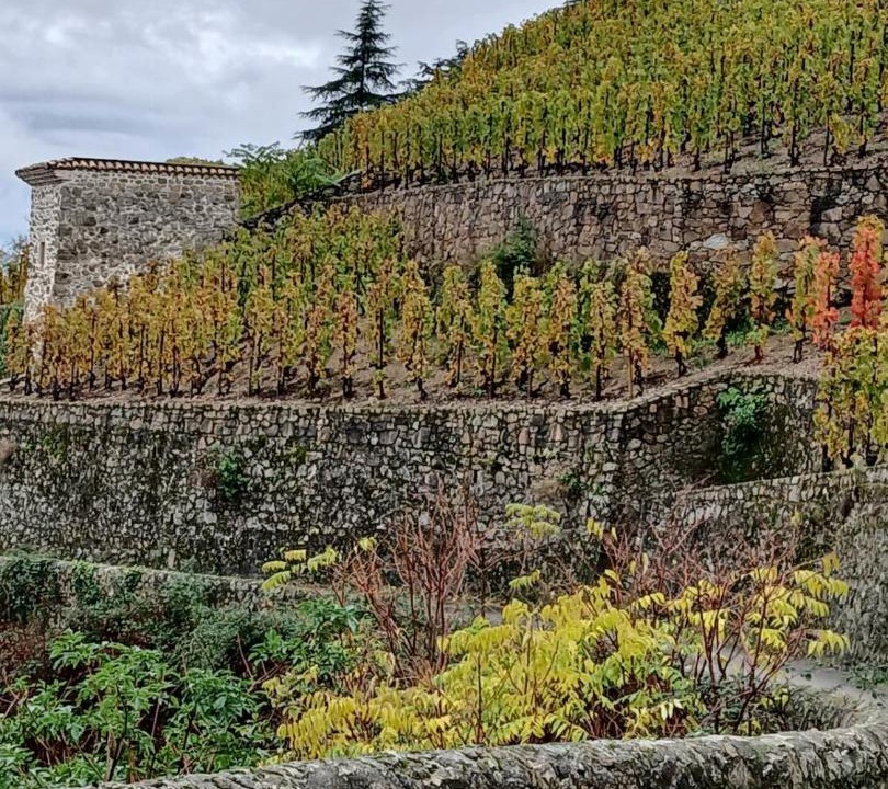 Photo of Others in Tournon-sur-Rhone