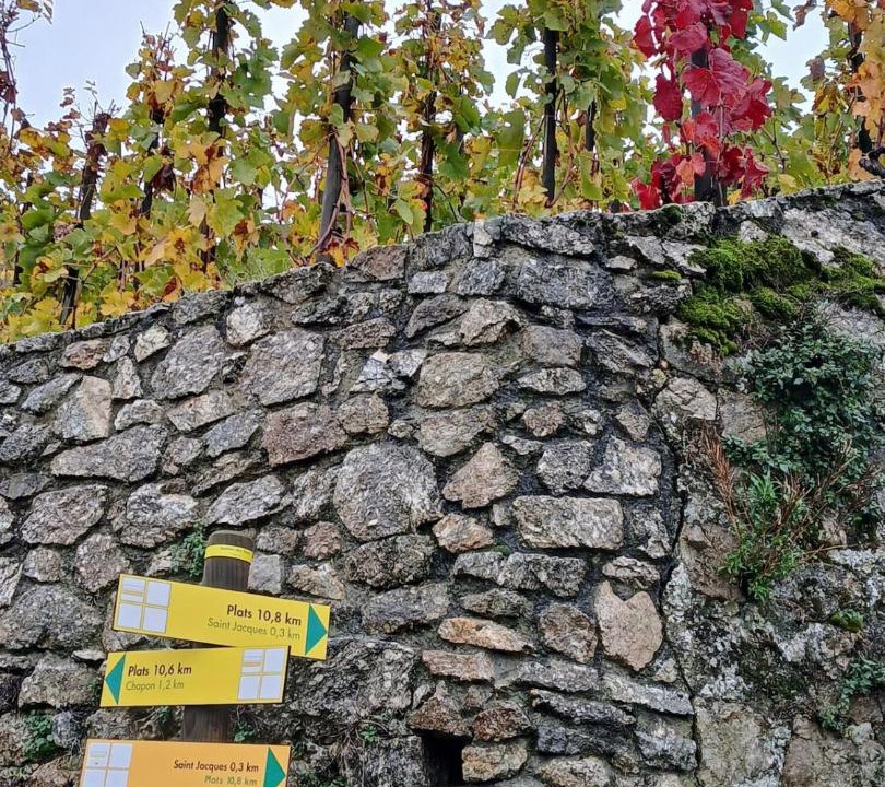 Photo of Others in Tournon-sur-Rhone