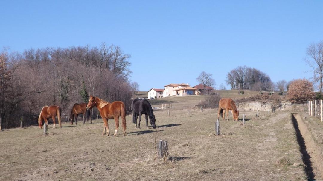 Photo of Others in Hauterives