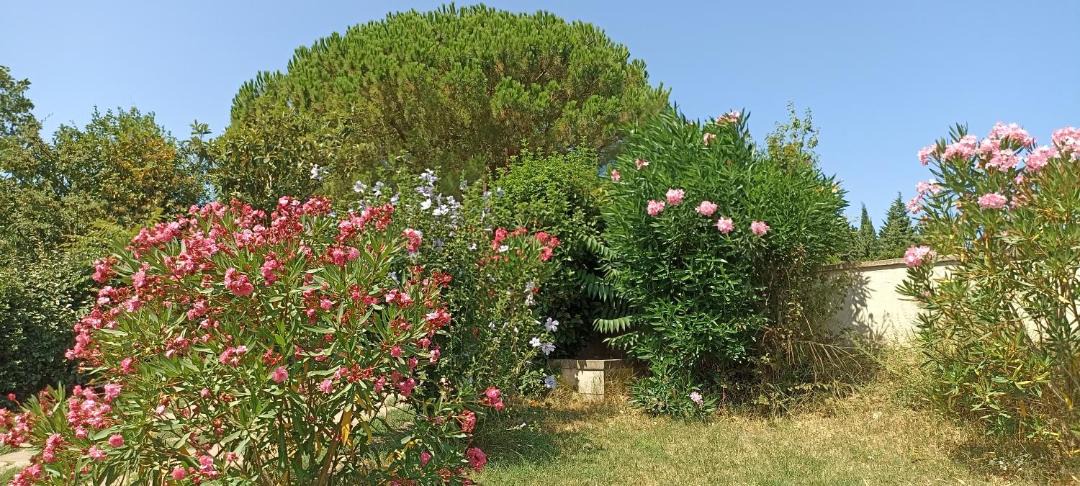 Photo of Others in Montelimar