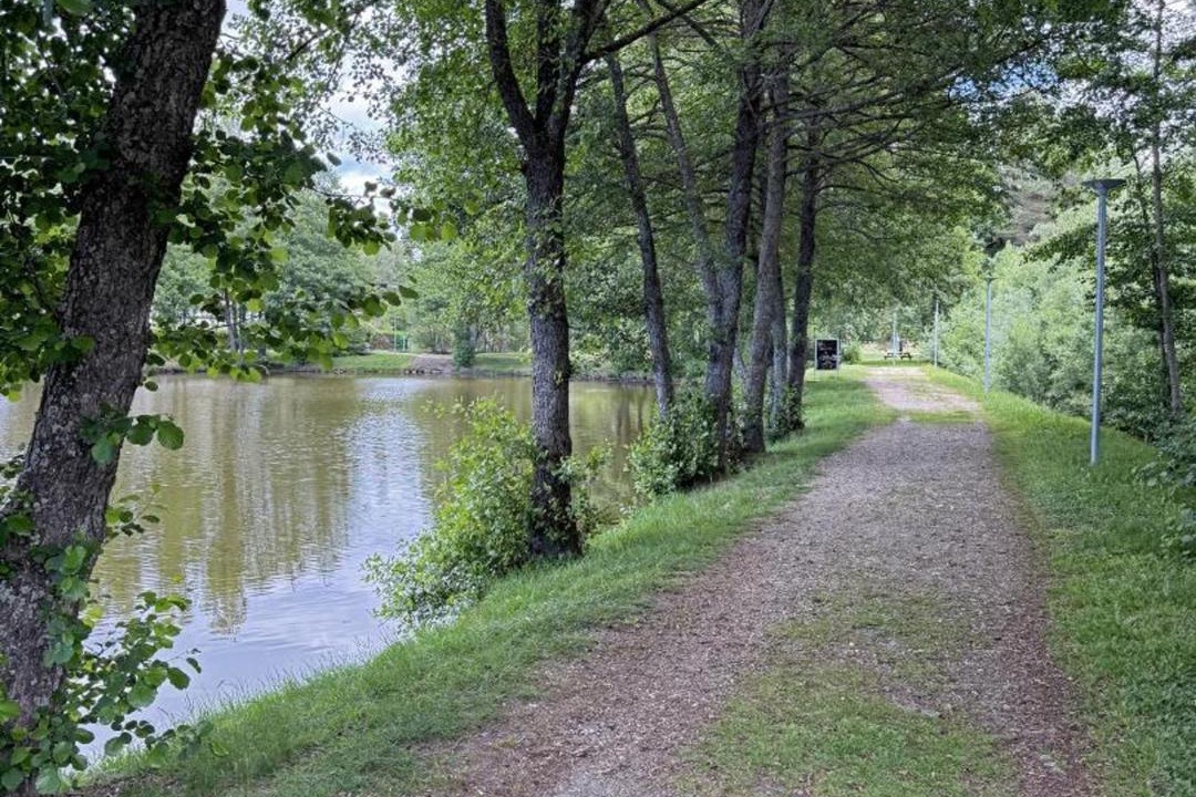 Photo of Others in Usson-en-Forez