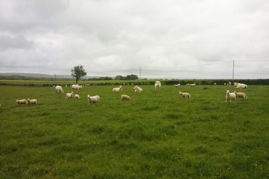 Photo of Others in Bazolles