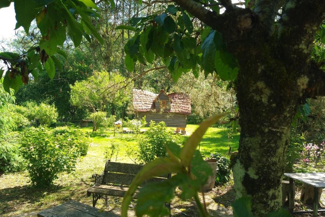 Photo of Others in Rasey