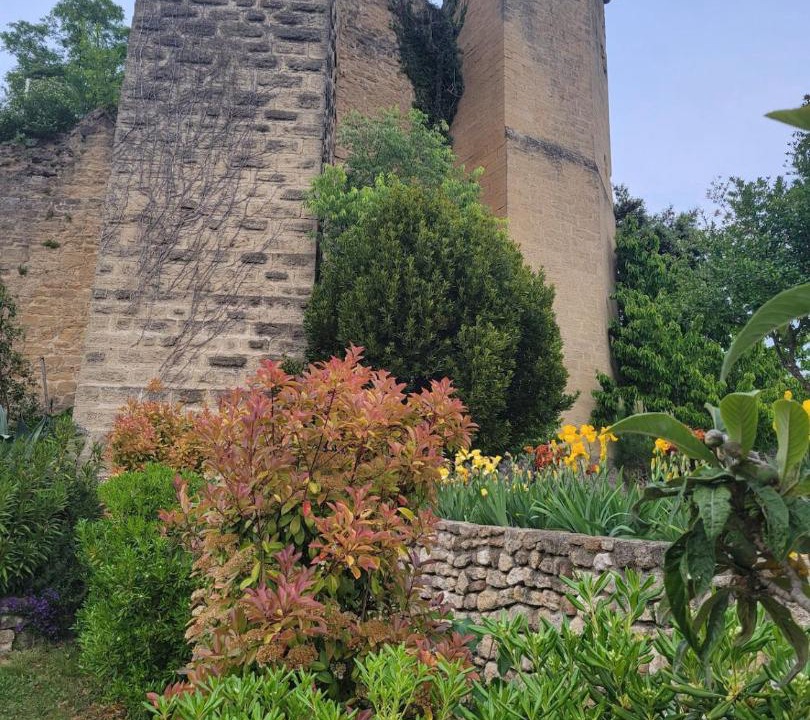 Photo of Others in Grane