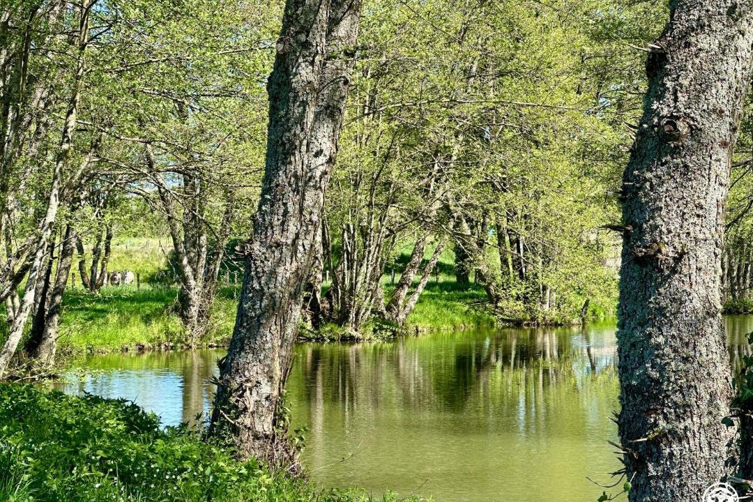 Photo of Others in Aisy-sous-Thil