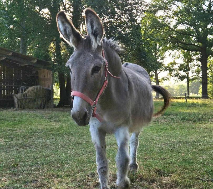 Photo of Others in Ygrande
