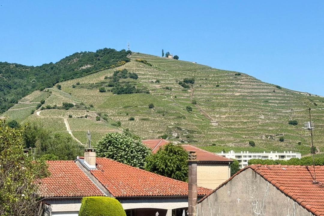 Photo of Others in Tournon-sur-Rhone