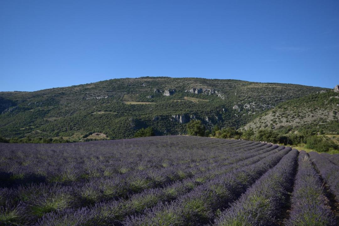 Photo of Others in La Roche-sur-le-Buis