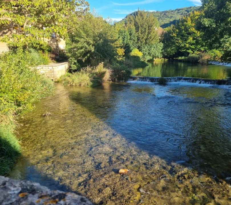 Photo of Others in Arbois
