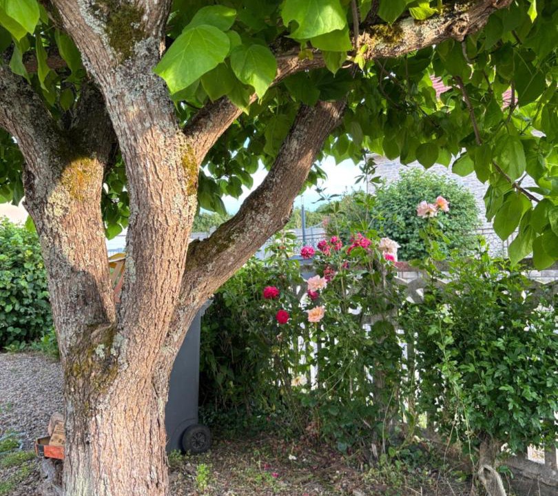 Photo of Outdoor in Ecuisses
