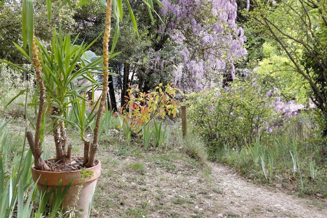 Photo of Outdoor in Aubres