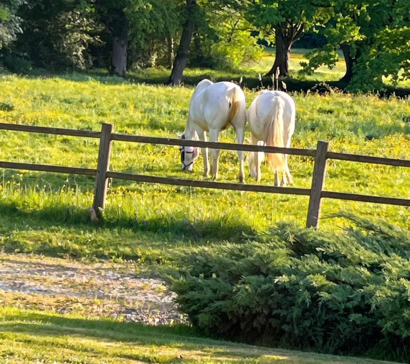Photo of Others in Leugny