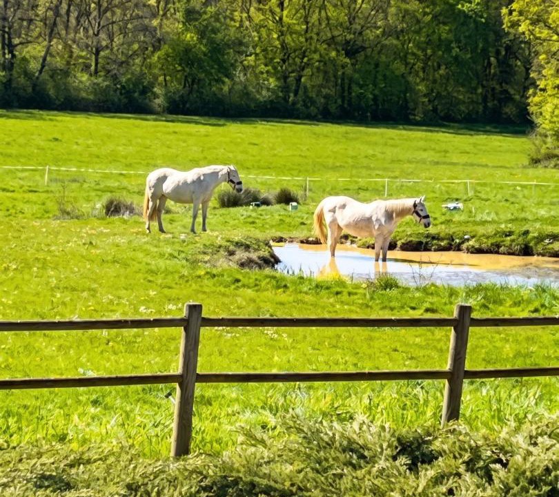 Photo of Others in Leugny