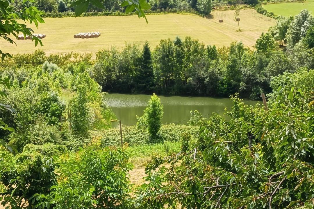 Photo of Others in Veranne