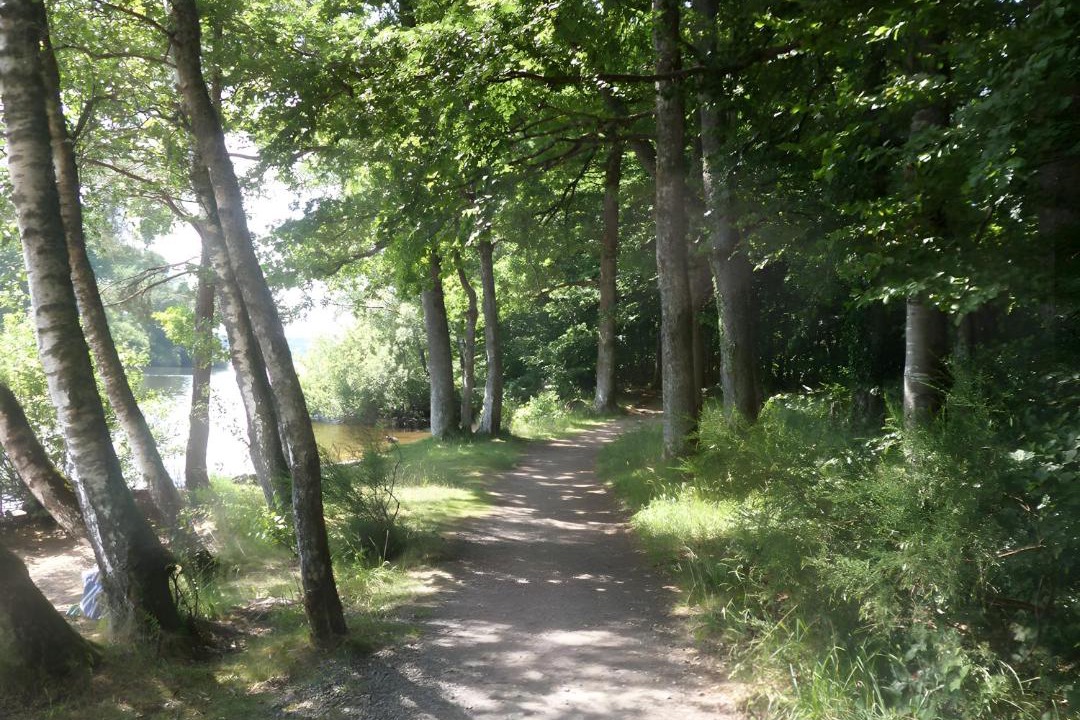 Photo of Others in Montsauche-les-Settons