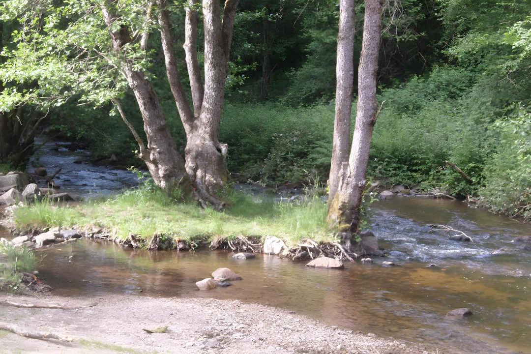 Photo of Others in Montsauche-les-Settons