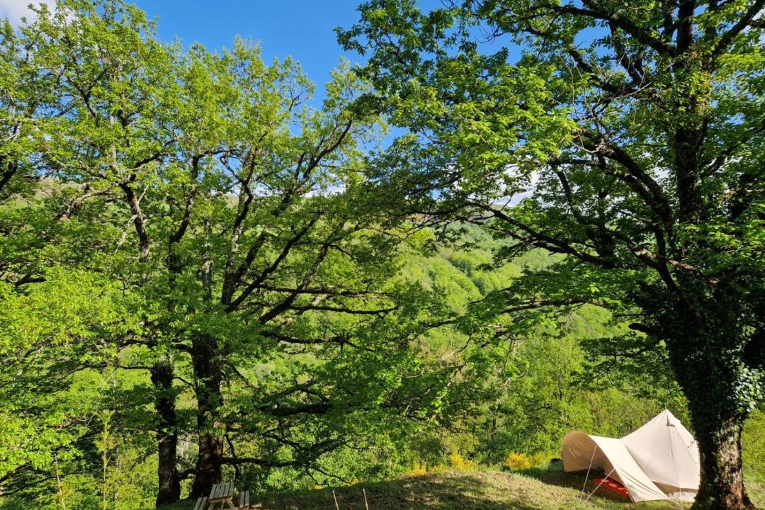 Photo of Others in Saint-Geniez-d'Olt-et-d'Aubrac