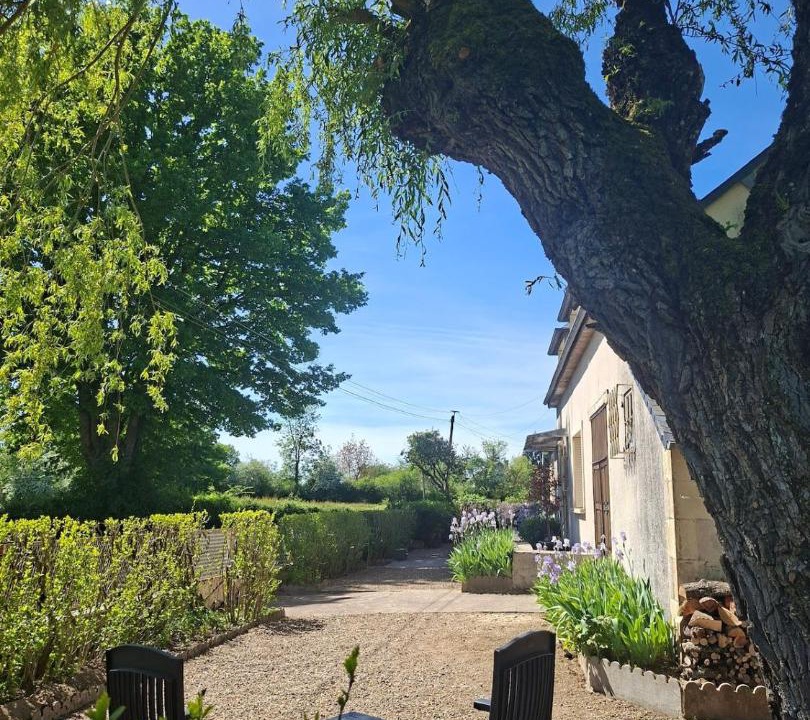 Photo of Others in Vandenesse