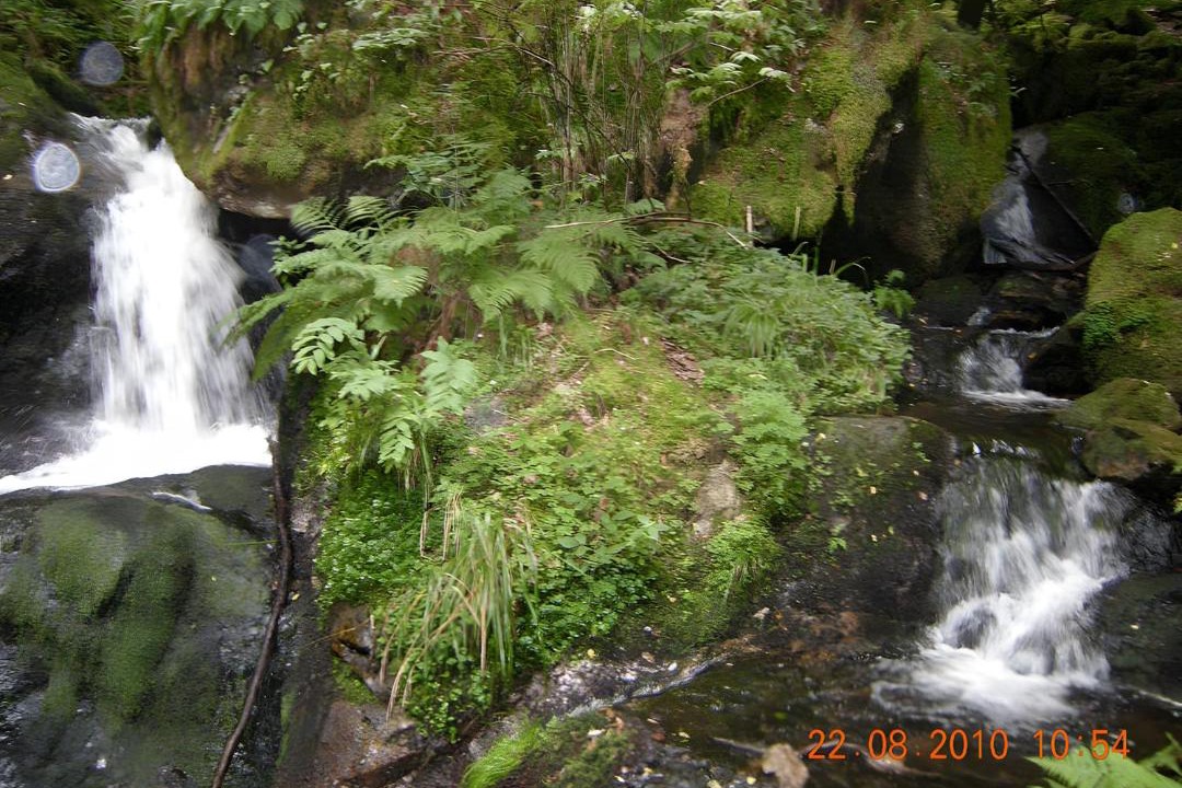 Photo of Others in Corancy