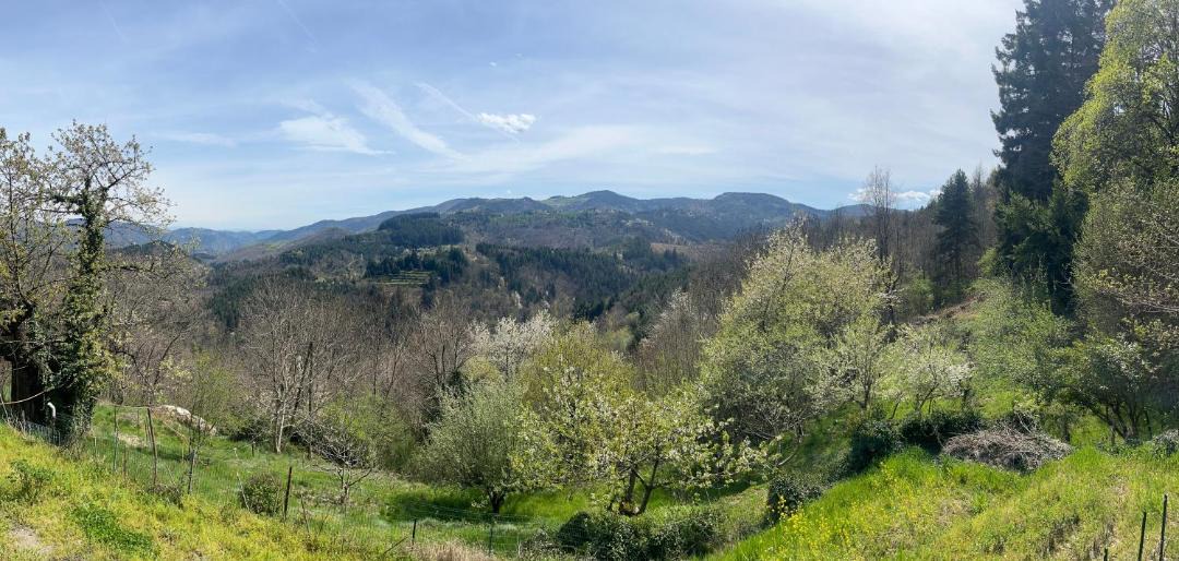 Photo of Others in Saint-Barthelemy-le-Meil