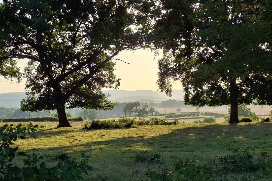 Photo of Others in Vandenesse