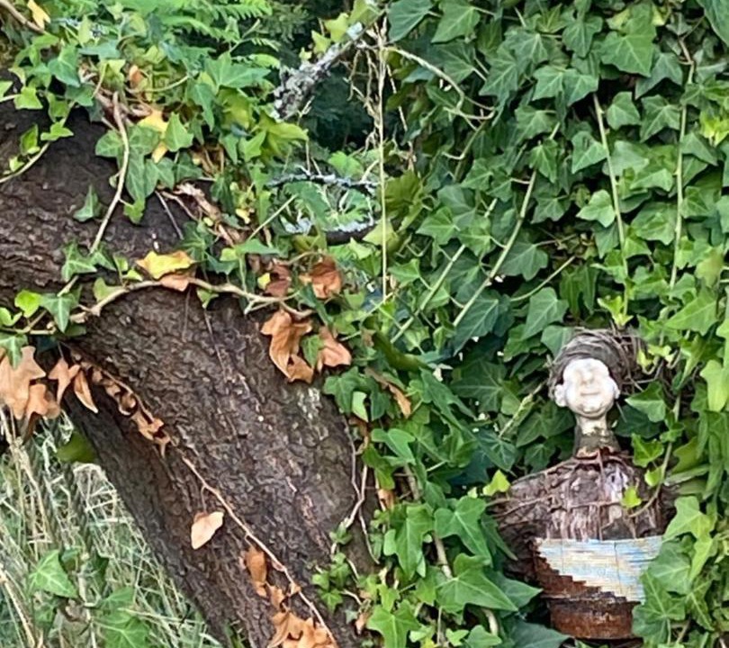 Photo of Others in Dommartin-les-Cuiseaux