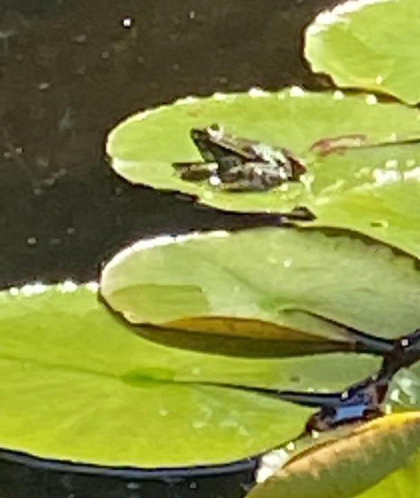 Photo of Others in Dommartin-les-Cuiseaux