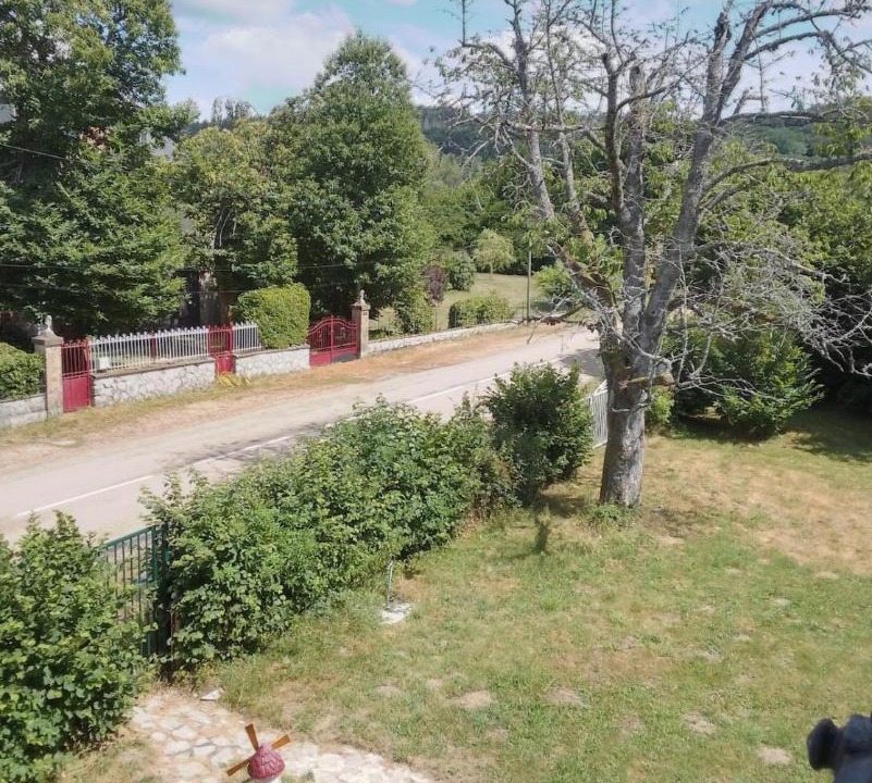 Photo of Others in Fachin