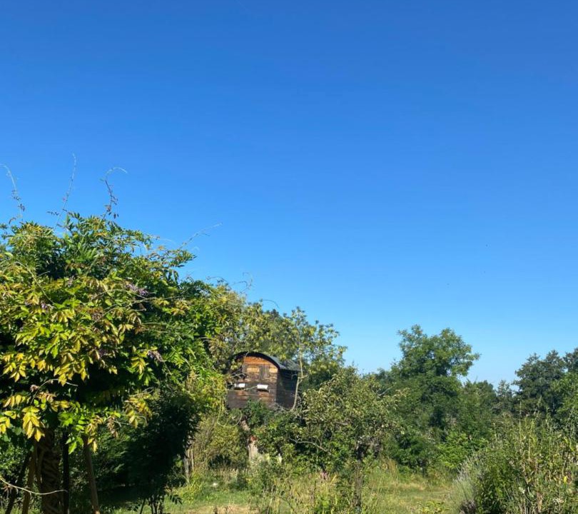Photo of Others in Dommartin-les-Cuiseaux