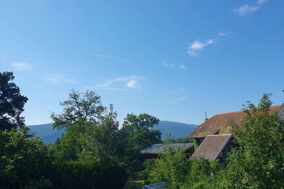 Photo of Others in La Motte-en-Bauges