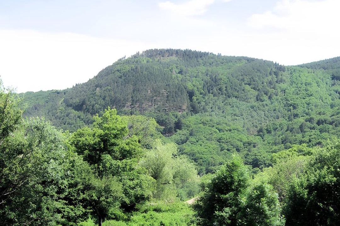 Photo of Others in Aizac