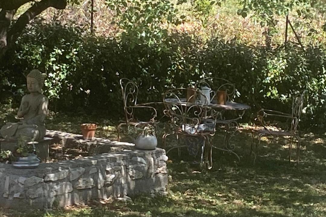 Photo of Others in Gras