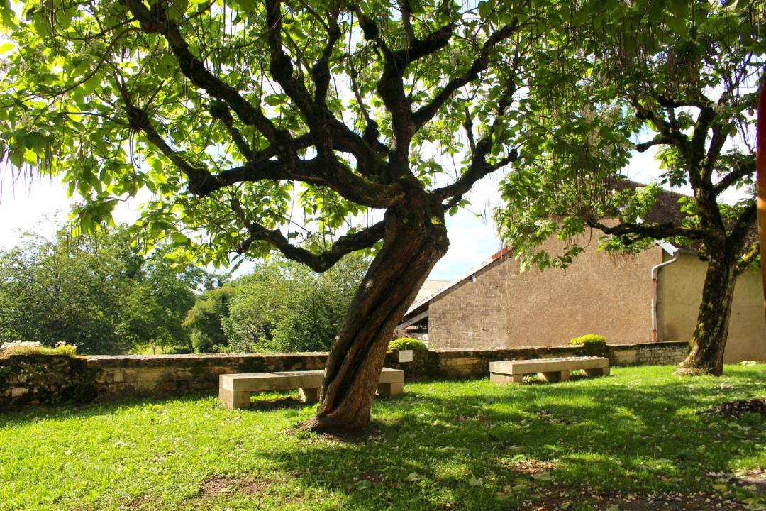 Photo of Others in Pesmes