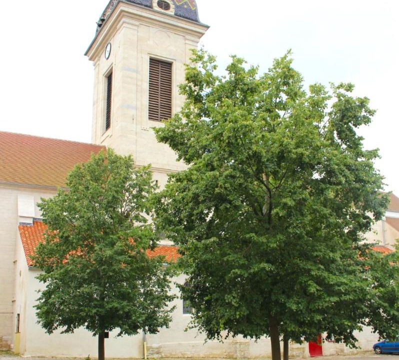 Photo of Buildings in Pesmes