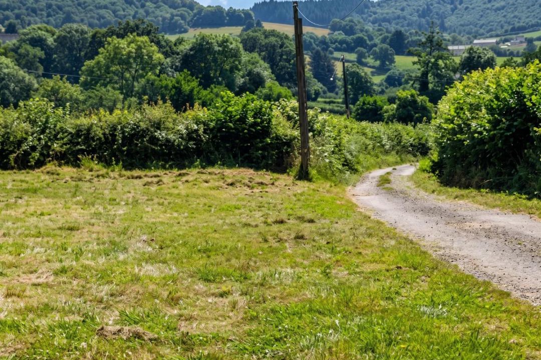Photo of Others in Cussy-en-Morvan