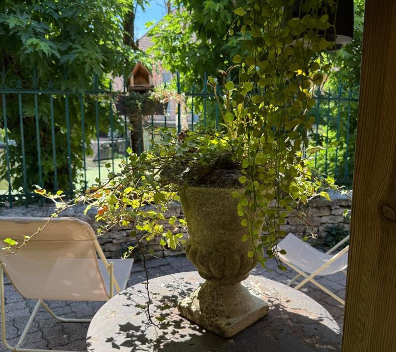 Photo of Others in Scey-sur-Saone-et-Saint-Albin