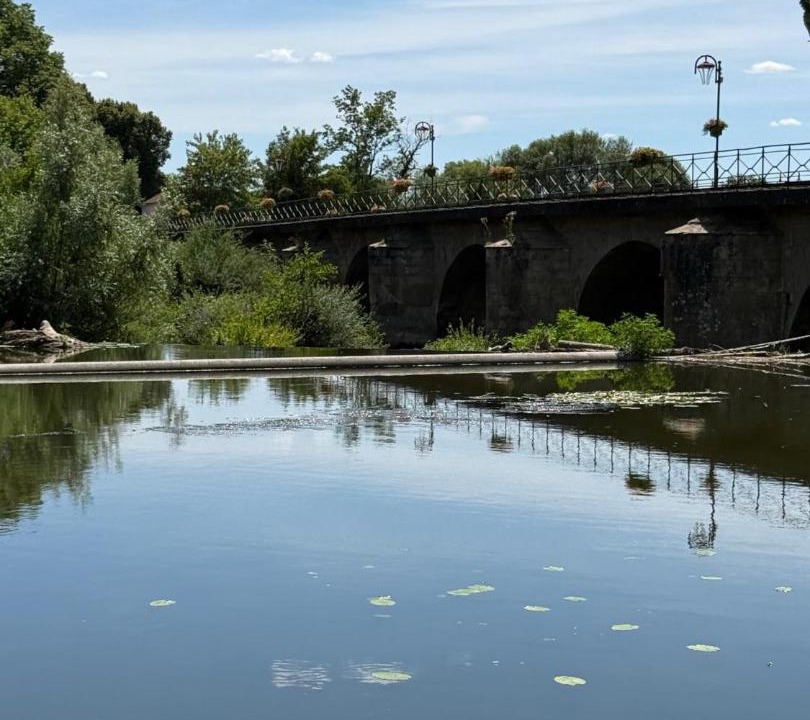 Photo of Others in Scey-sur-Saone-et-Saint-Albin