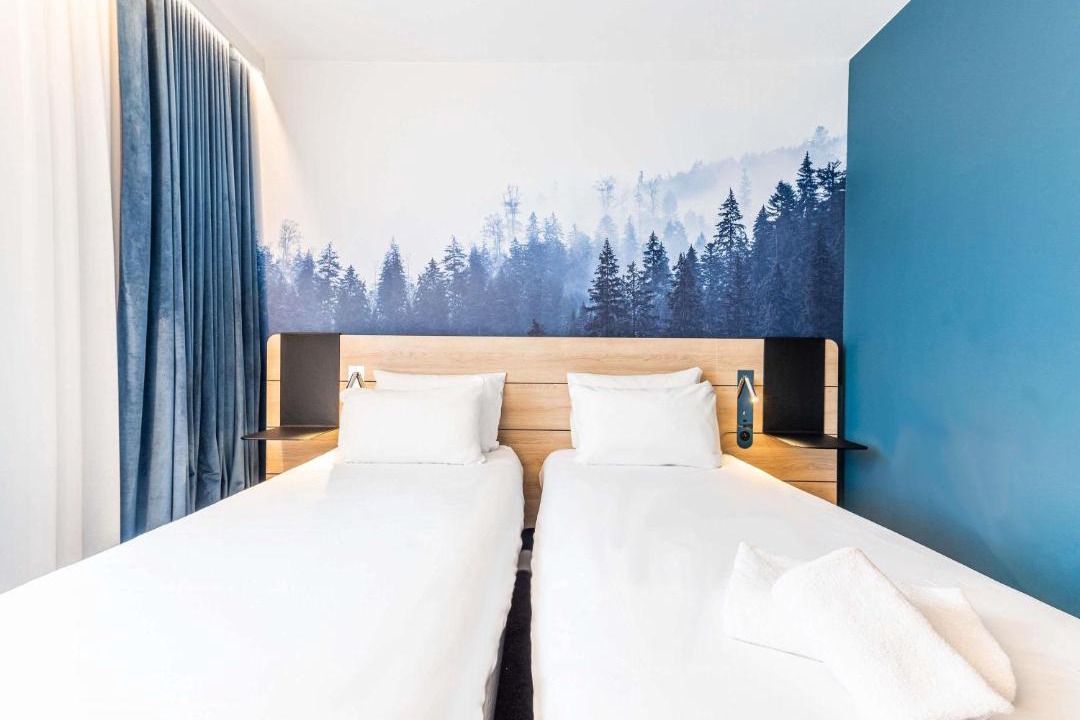 Photo of Bedroom in Annemasse