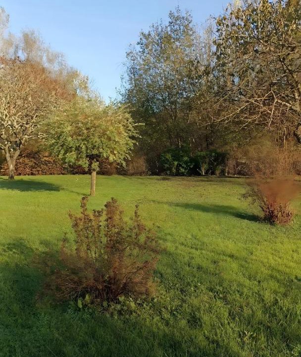 Photo of Others in Liffol-le-Grand