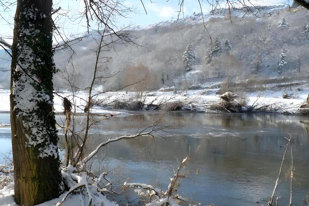 Photo of Others in Cussac-sur-Loire