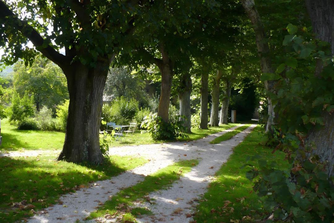 Photo of Others in Cussac-sur-Loire