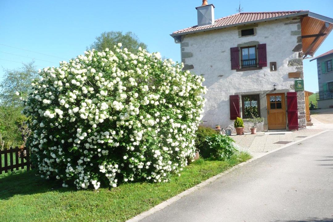 Photo of Others in Bonvillet