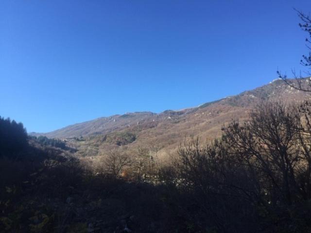 Photo of Others in Valgorge