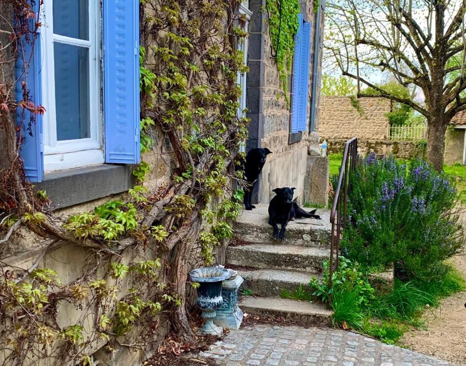 Photo of Others in Saint-Didier-sur-Rochefort