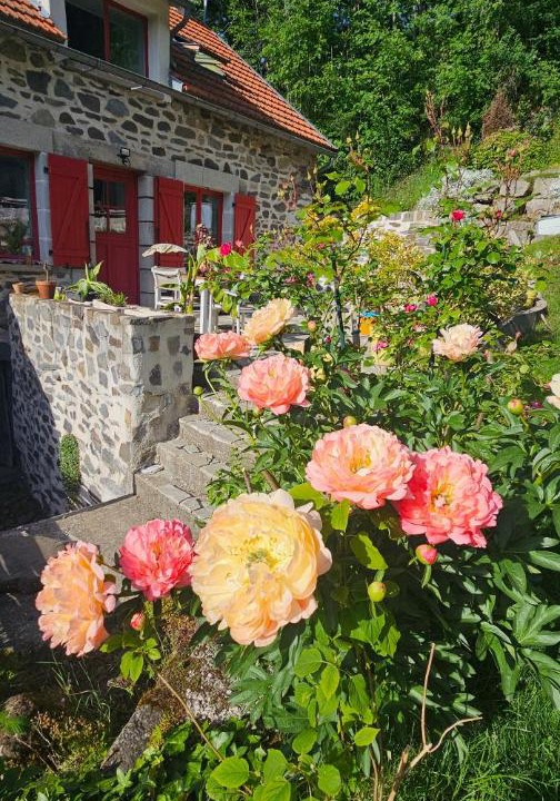 Photo of Others in Le Monteil