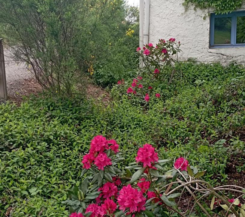 Photo of Outdoor in Saint-Martin-Lestra