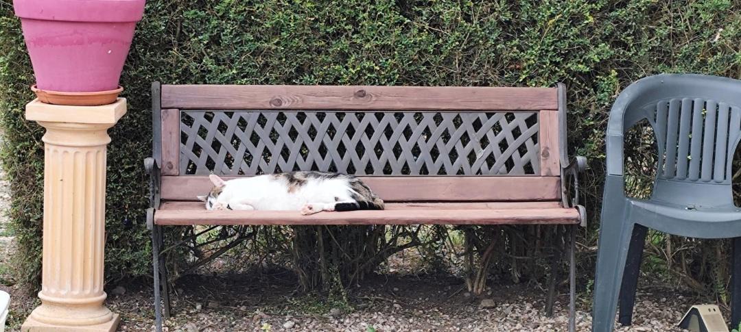 Photo of Others in Les Bordes