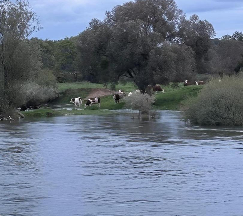 Photo of Others in Rochefort-sur-Nenon