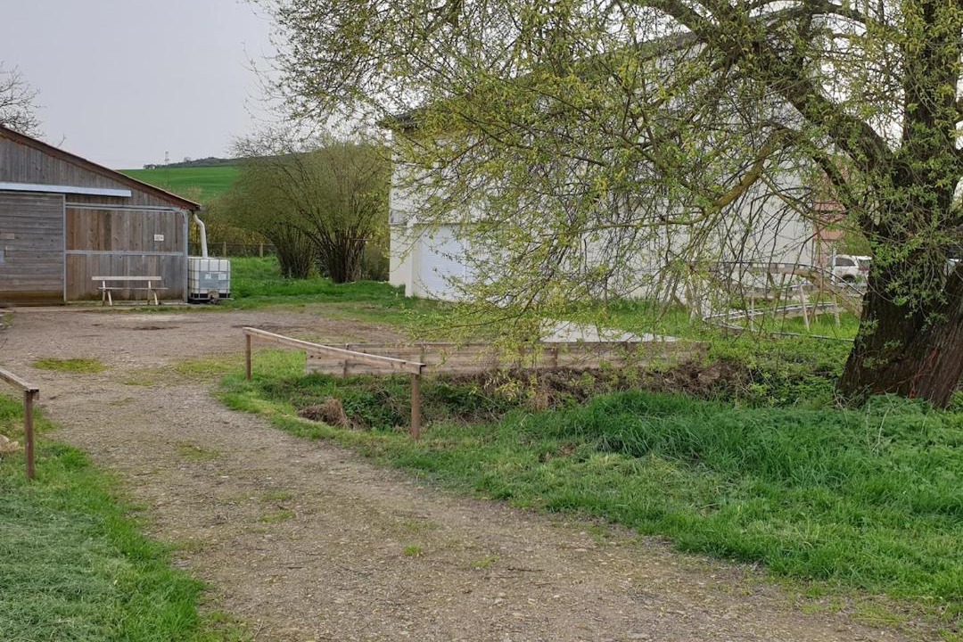 Photo of Others in La Celle-sous-Gouzon